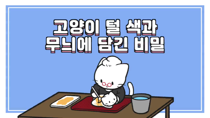 비마이펫_고양이 털색